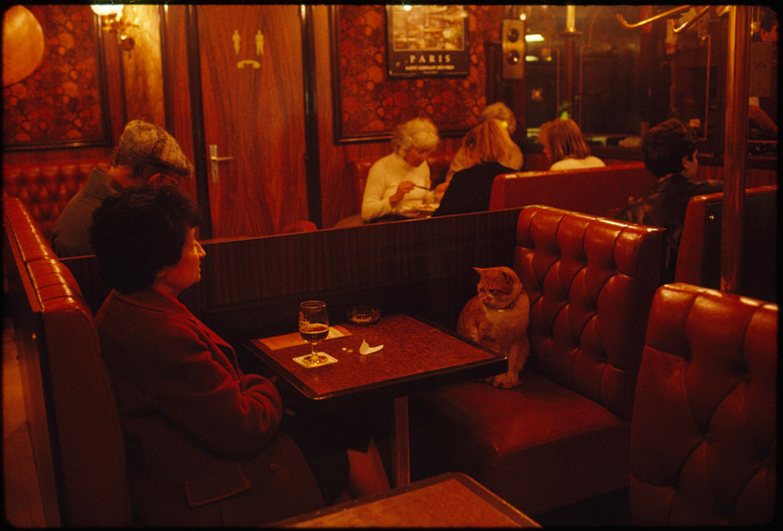 fotos-no-publicadas-national-geographic-found (17)