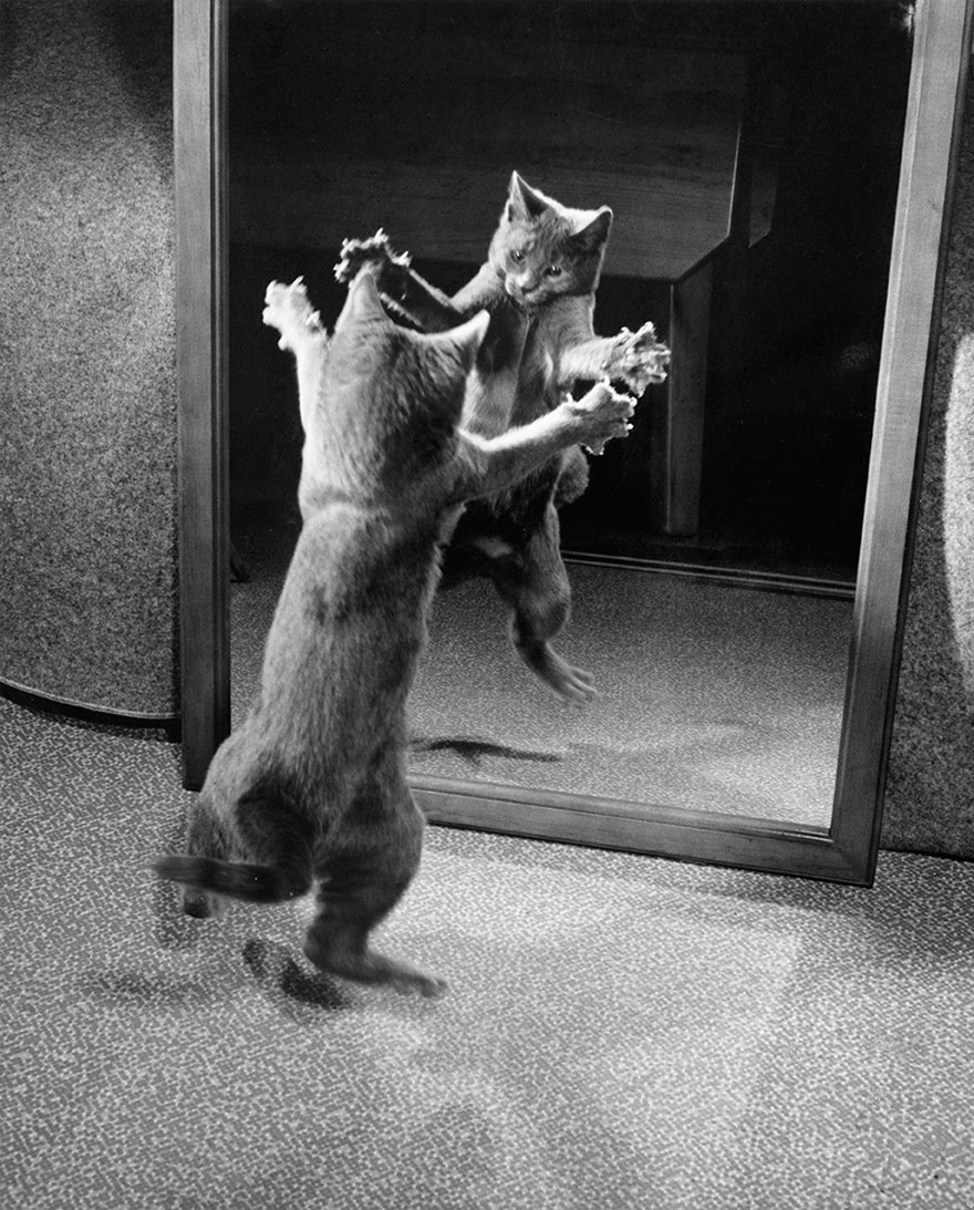 fotos-no-publicadas-national-geographic-found (22)