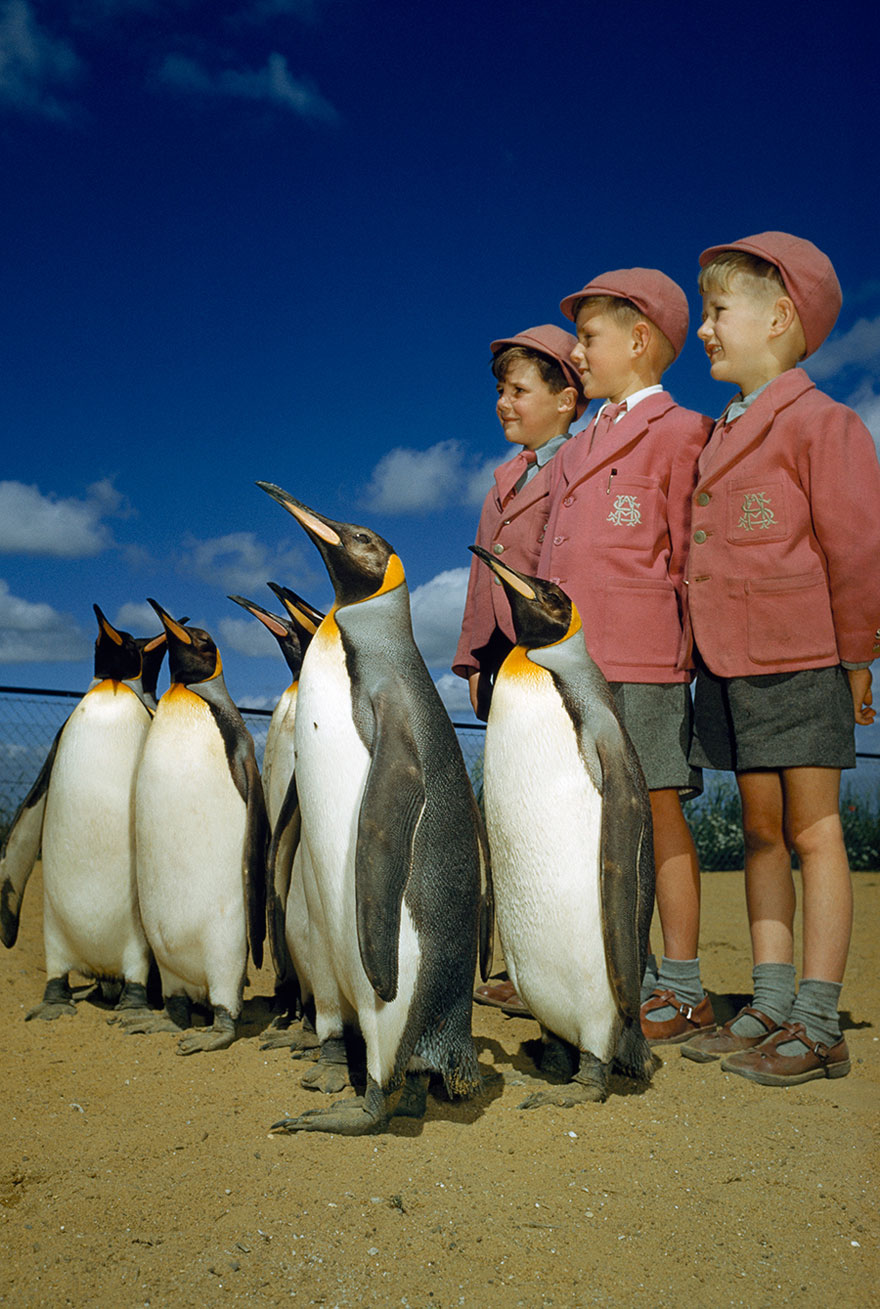 fotos-no-publicadas-national-geographic-found (8)