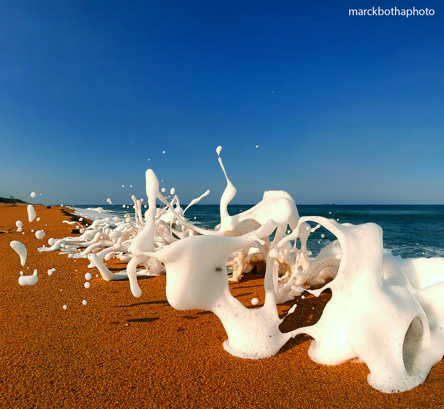 fotos-olas-marinas (1)