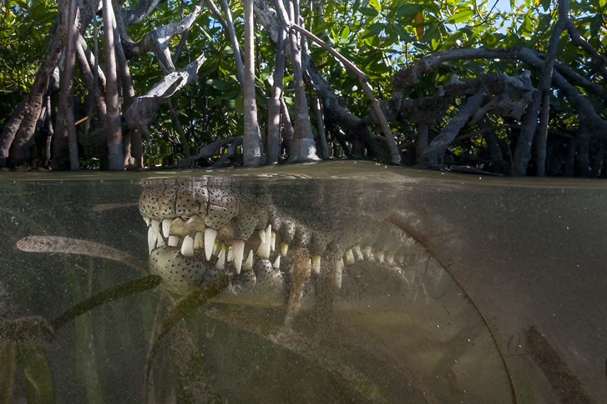 fotos-sobre-bajo-agua (10)