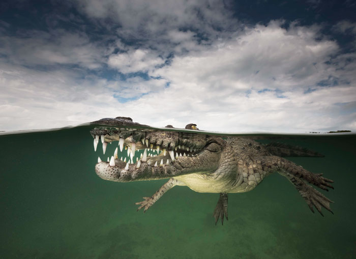 20 Impresionantes fotos tomadas entre dos mundos