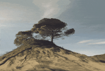 gifs-hipnoticos-micael-reynaud (6)
