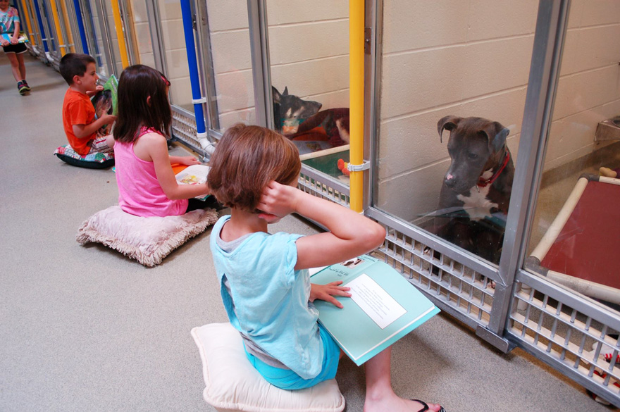ninos-leyendo-perros-refugio-missouri (1)