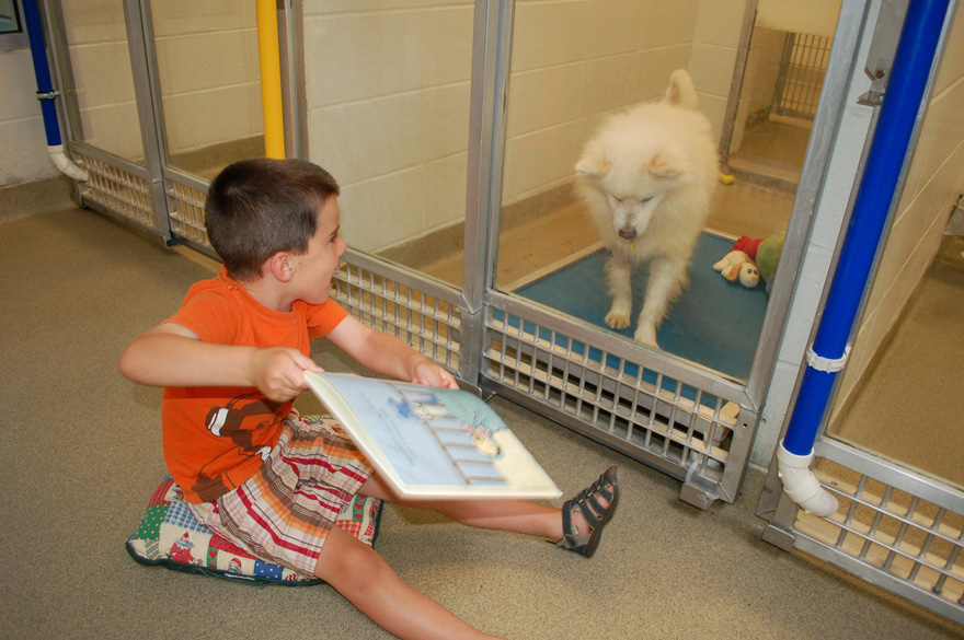 ninos-leyendo-perros-refugio-missouri (2)