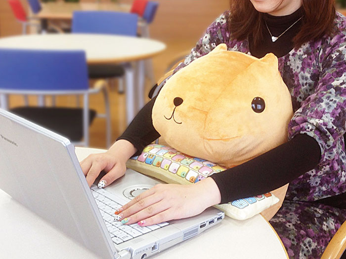 Adorables peluches para el regazo que protegen tus muñecas y te hacen compañía