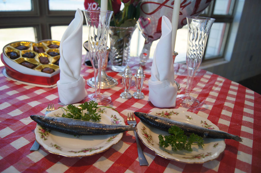 pinguinos-pareja-22-san-valentin-cena-audubon-aquarium (2)