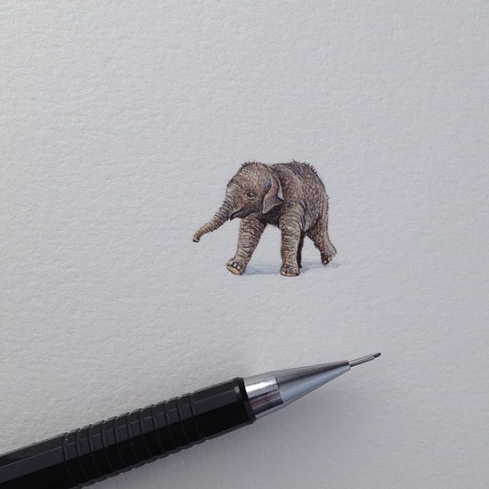 pinturas-miniatura-diarias-brooke-rothshank (11)