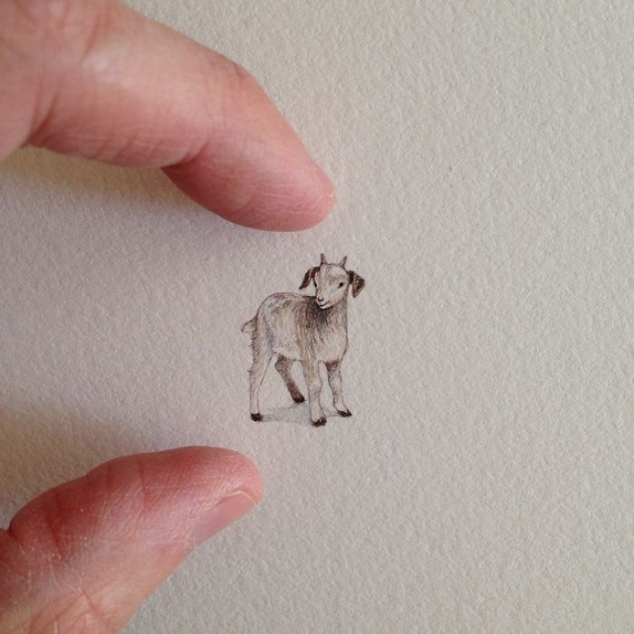pinturas-miniatura-diarias-brooke-rothshank (6)