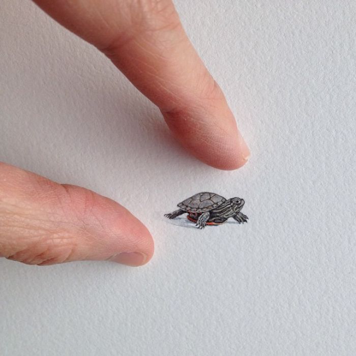 pinturas-miniatura-diarias-brooke-rothshank (7)