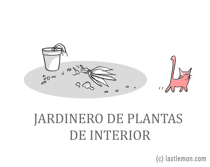 trabajos-gatos-lastlemon-10