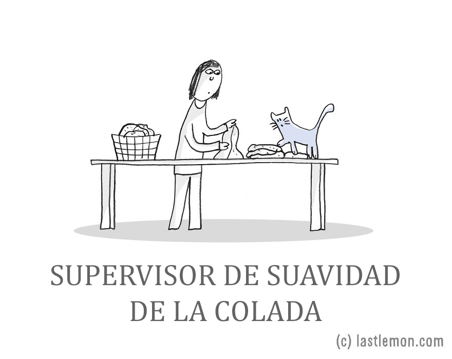 trabajos-gatos-lastlemon-11