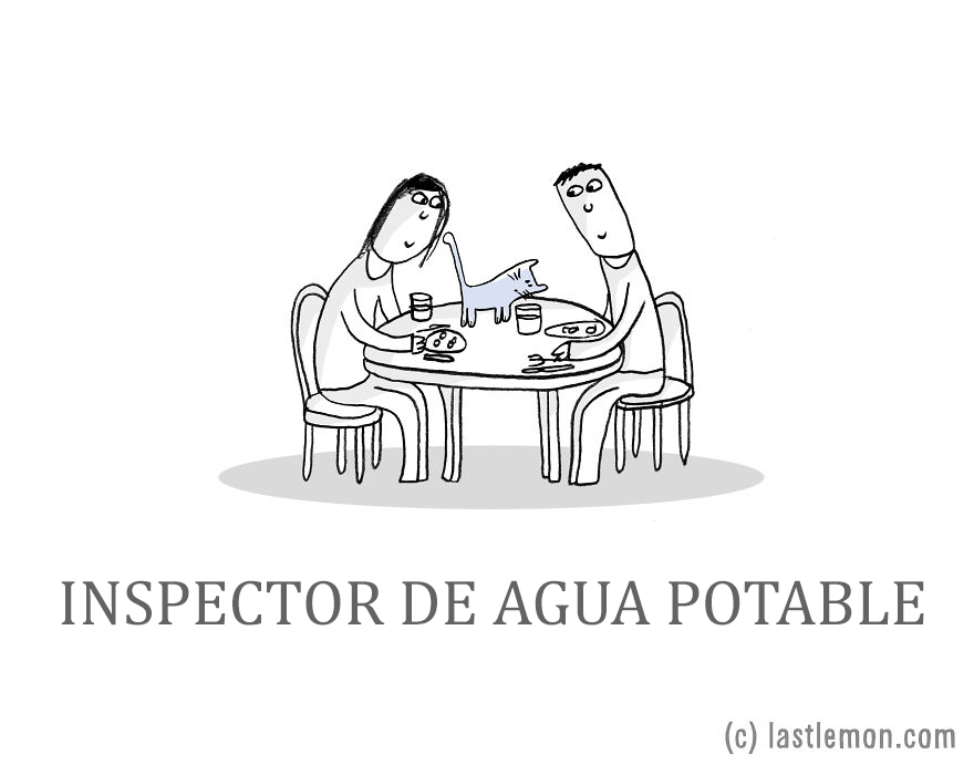 trabajos-gatos-lastlemon-12