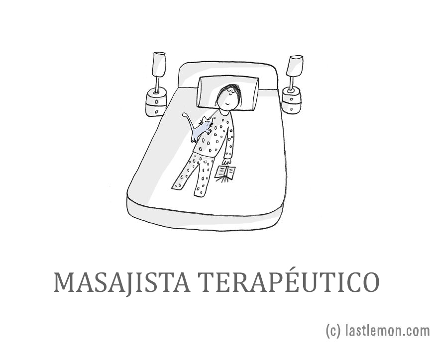trabajos-gatos-lastlemon-14