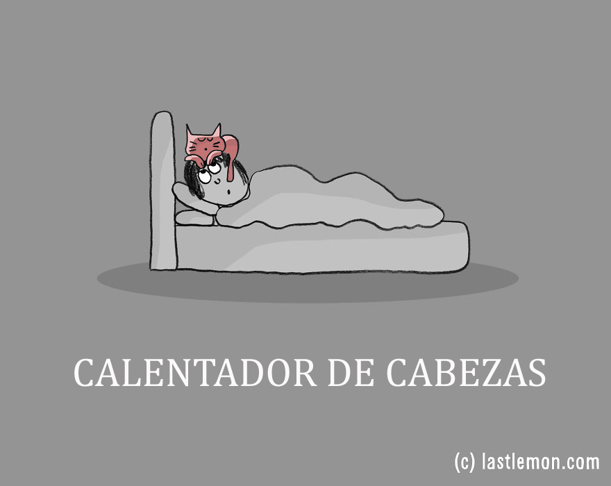 trabajos-gatos-lastlemon-15