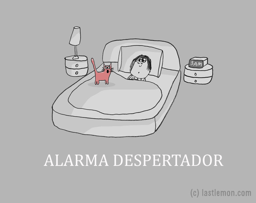trabajos-gatos-lastlemon-16