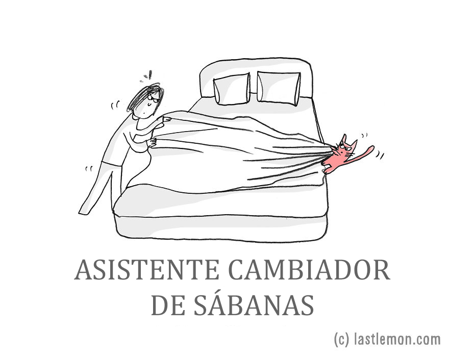 trabajos-gatos-lastlemon-2