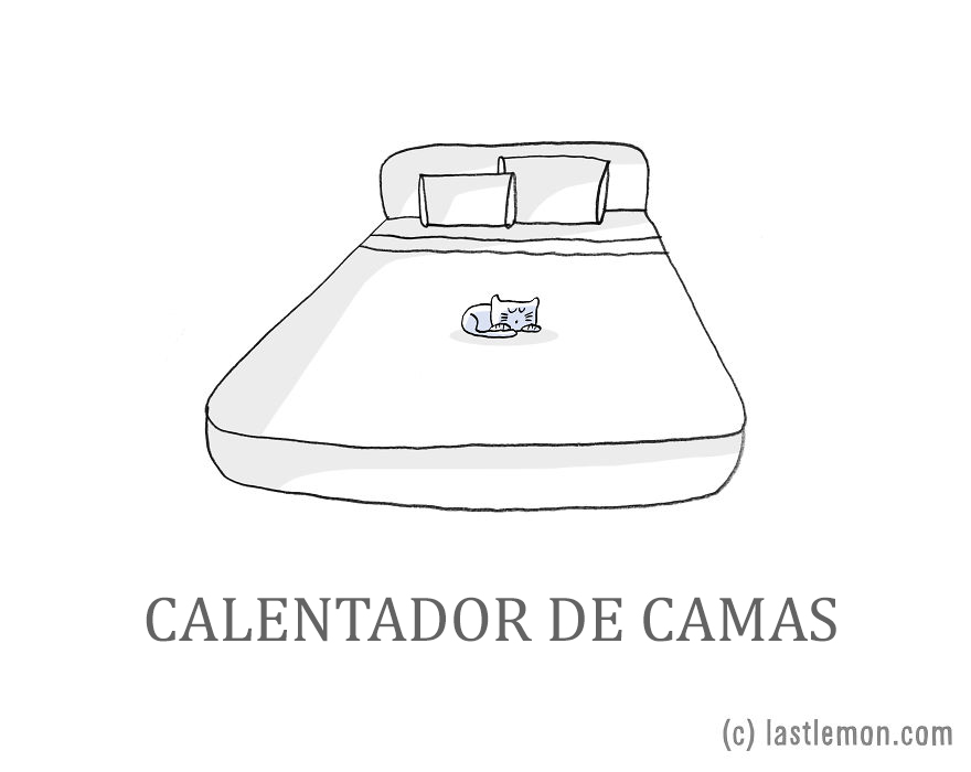 trabajos-gatos-lastlemon-3