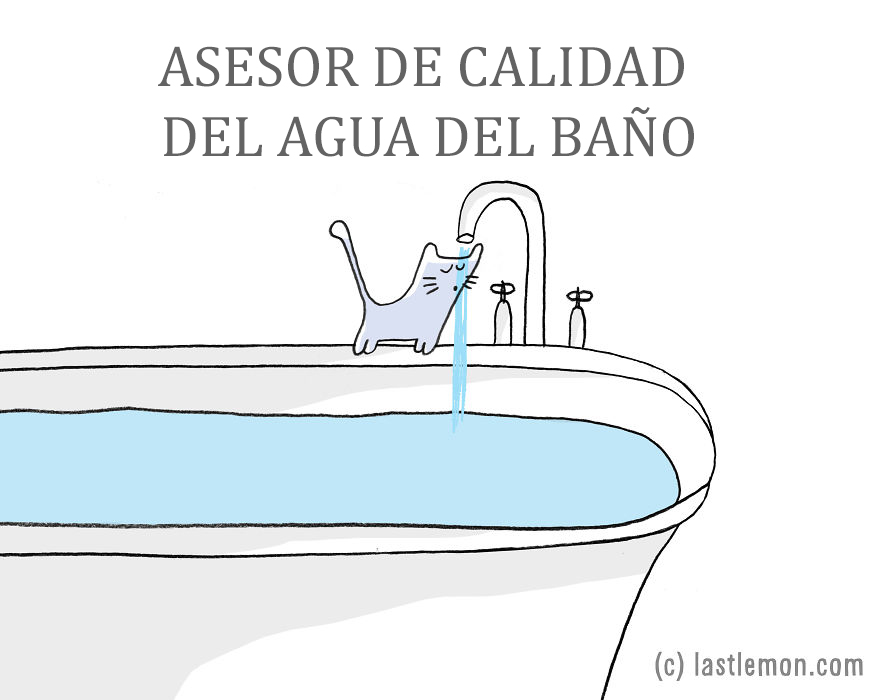 trabajos-gatos-lastlemon-9