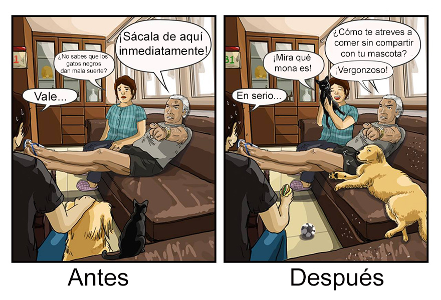 vida-antes-despues-perro-maimai-john (1)