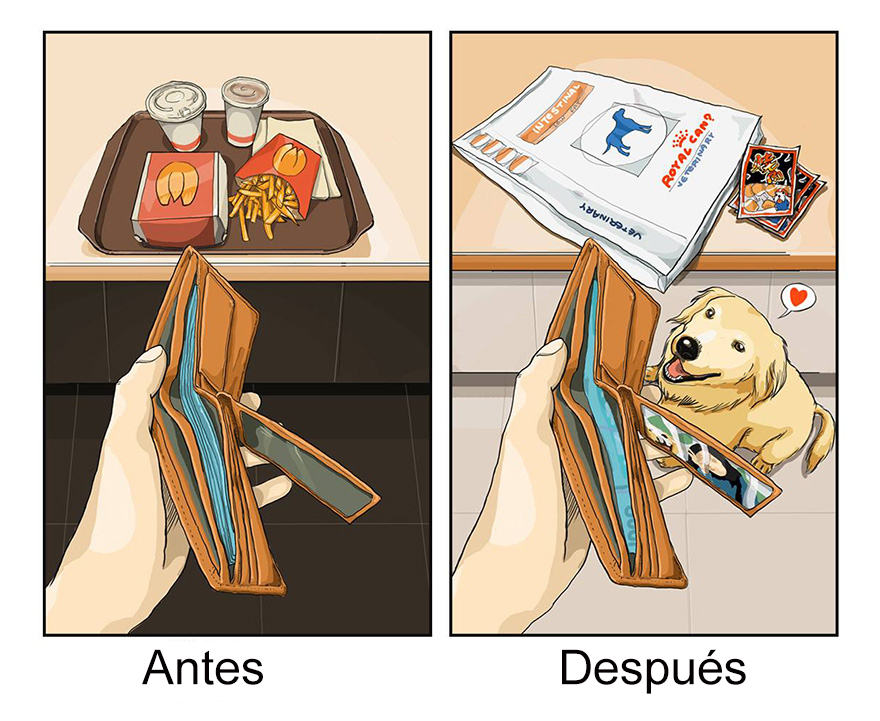 vida-antes-despues-perro-maimai-john (3)