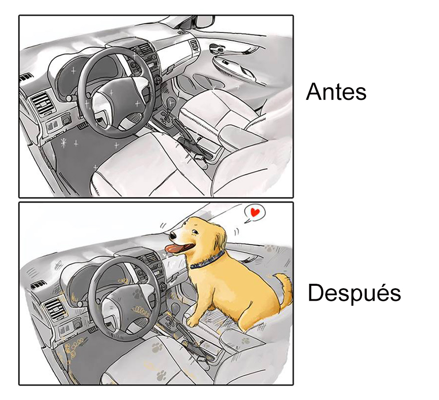 vida-antes-despues-perro-maimai-john (4)
