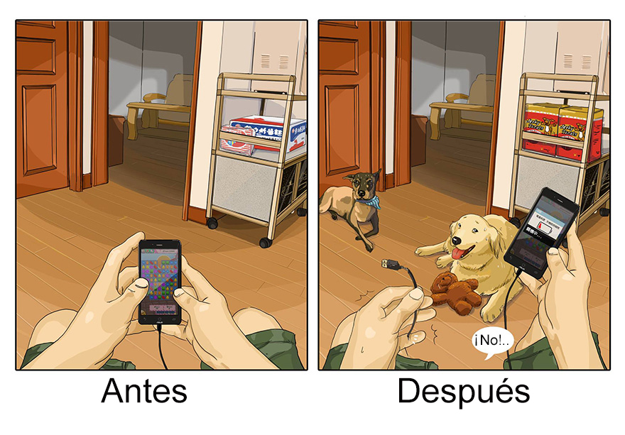 vida-antes-despues-perro-maimai-john (5)