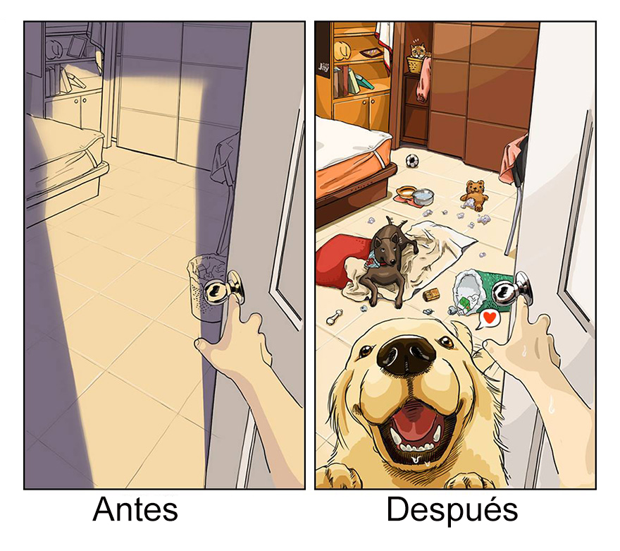 vida-antes-despues-perro-maimai-john (6)