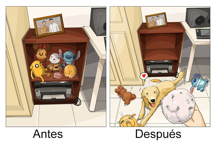 vida-antes-despues-perro-maimai-john (7)