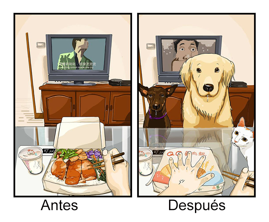 vida-antes-despues-perro-maimai-john (8)