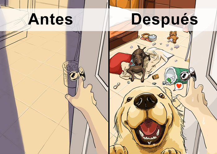 La vida antes y después de tener un perro