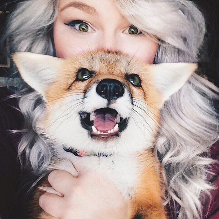 zorro-feliz-juniper-instagram (18)