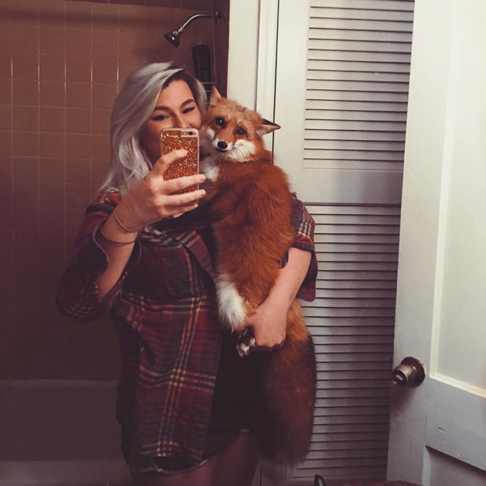zorro-feliz-juniper-instagram (19)