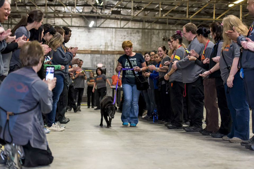 524-perros-gatos-adoptados-evento-aspca (1)