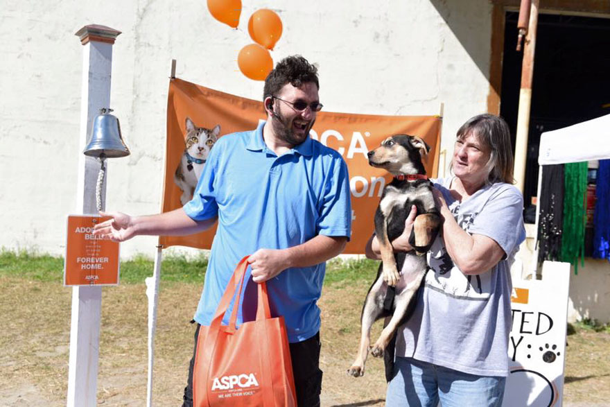 524-perros-gatos-adoptados-evento-aspca (10)