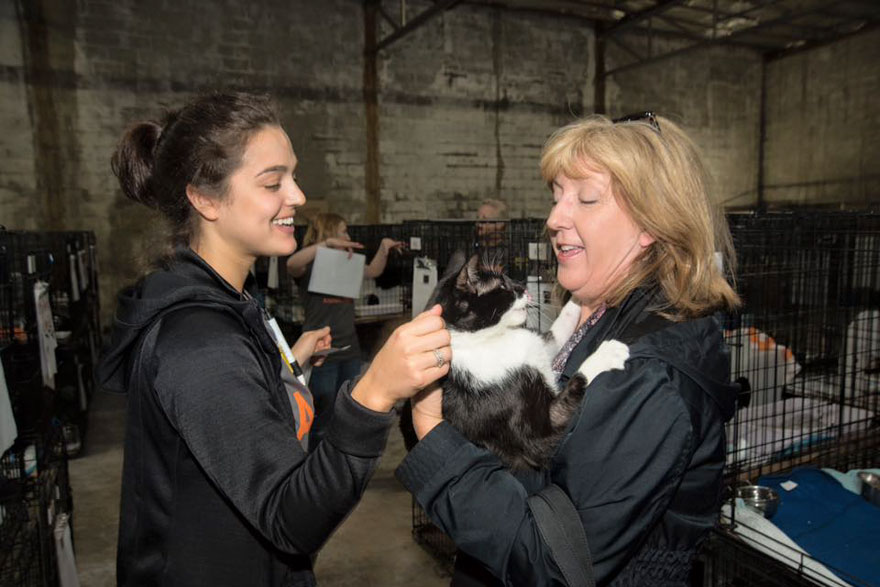 524-perros-gatos-adoptados-evento-aspca (2)