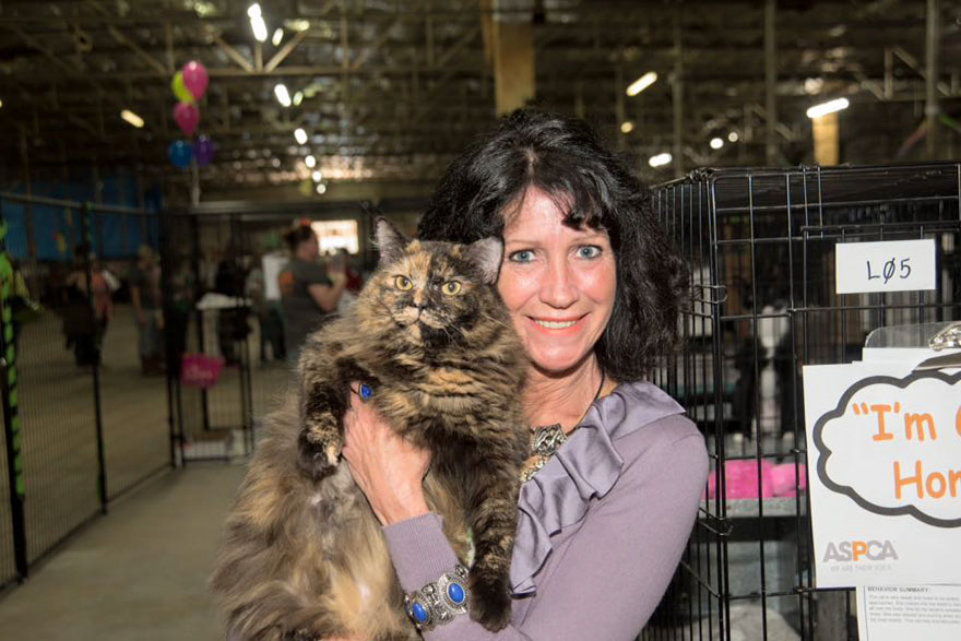 524-perros-gatos-adoptados-evento-aspca (9)