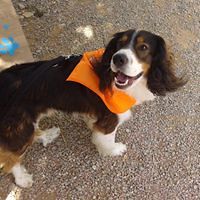 conxi-gs avatar