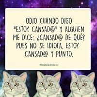 asgalvis avatar