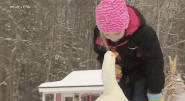amistad-animal-pato-snowflake-kylie-brown (2)