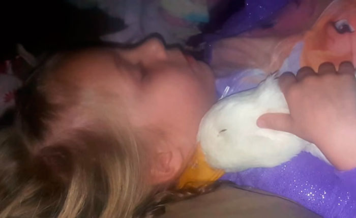 amistad-animal-pato-snowflake-kylie-brown (2)