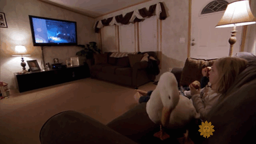 amistad-animal-pato-snowflake-kylie-brown (3)