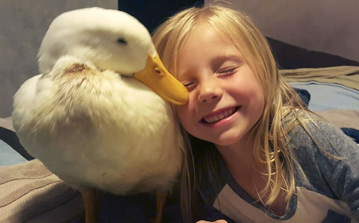 amistad-animal-pato-snowflake-kylie-brown (3)