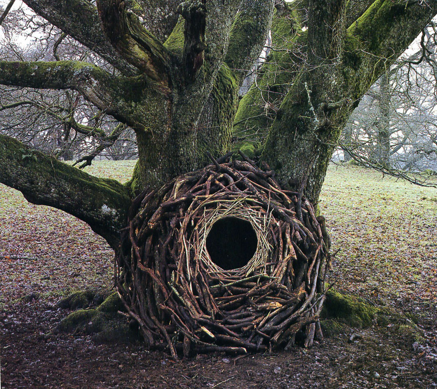 arte-terrestre-andy-goldsworthy (11)