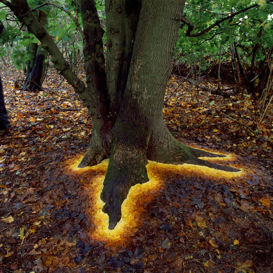 arte-terrestre-andy-goldsworthy (12)