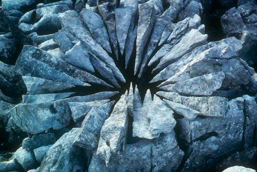 arte-terrestre-andy-goldsworthy (17)