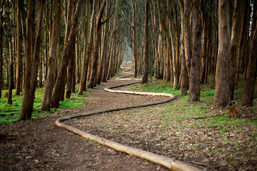 arte-terrestre-andy-goldsworthy (3)