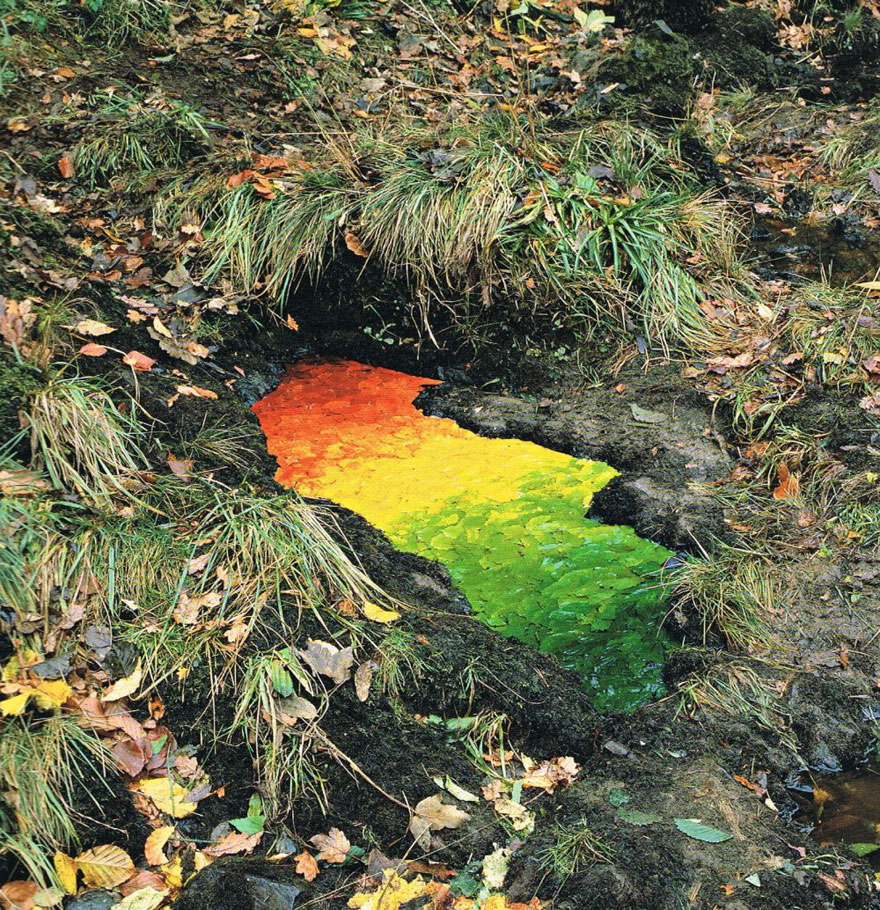 arte-terrestre-andy-goldsworthy (5)