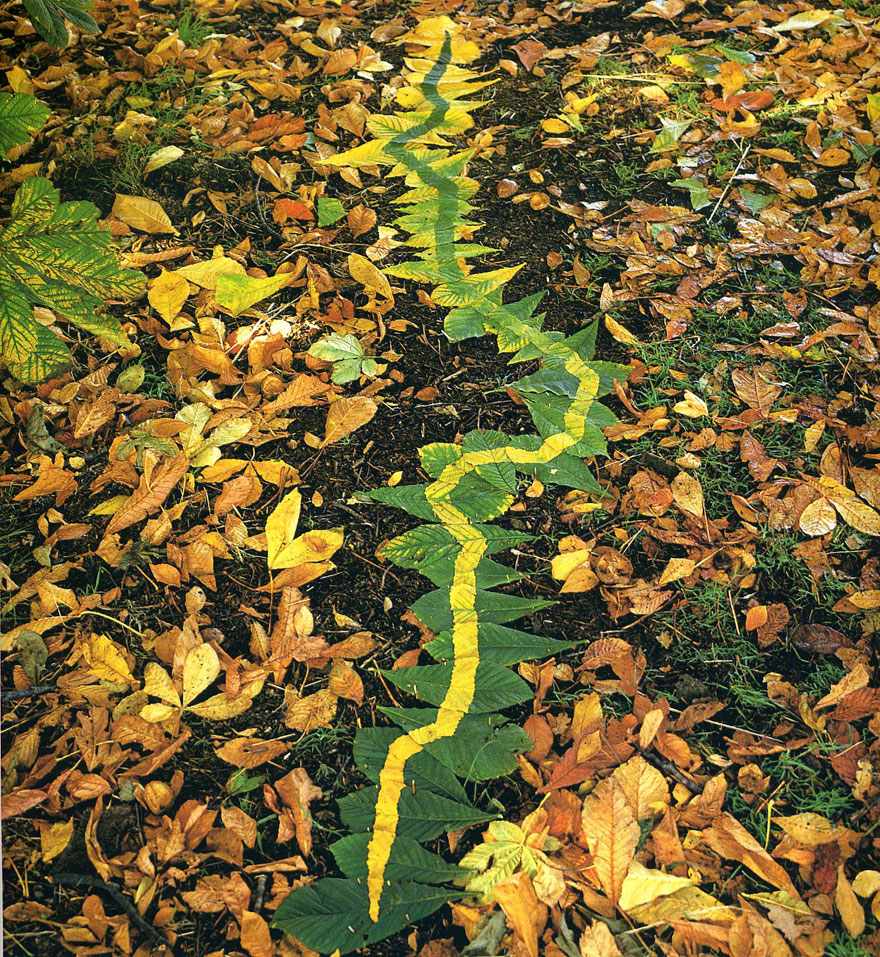 arte-terrestre-andy-goldsworthy (6)