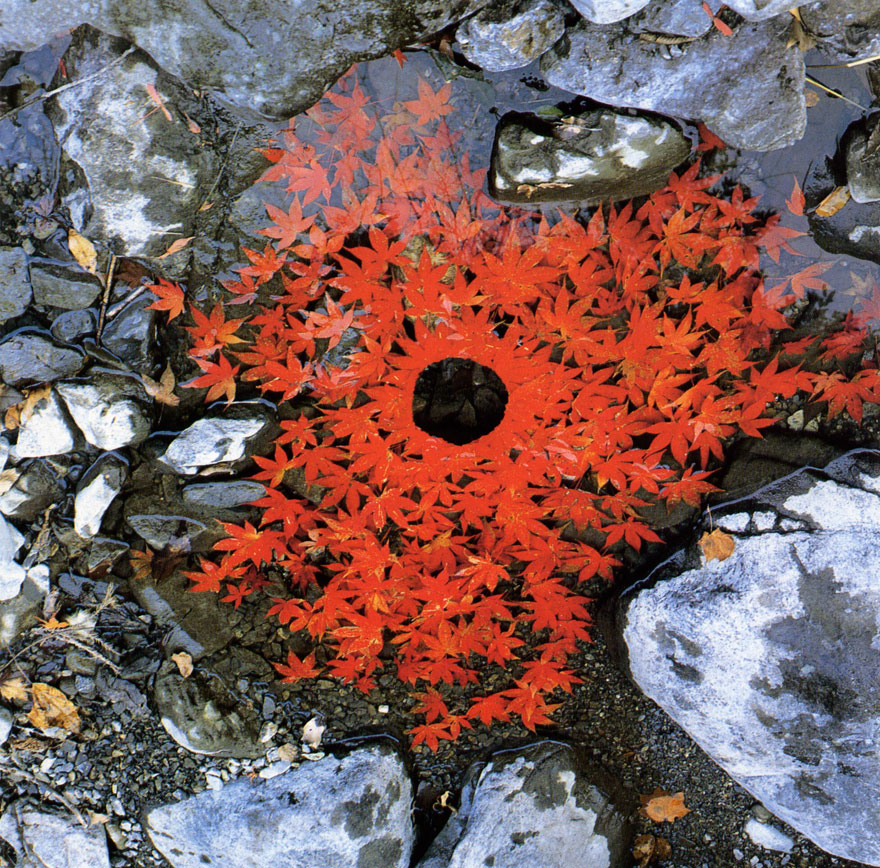 arte-terrestre-andy-goldsworthy (7)